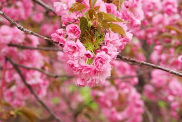 常州钟楼区9线下个人借款平台一站式服务，轻松解决资金难题