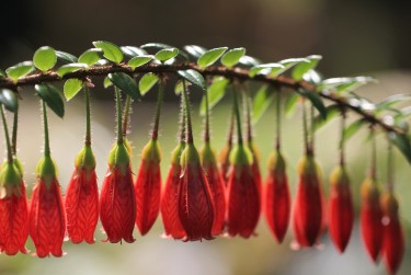 常州钟楼区9零用贷短借：轻松解决临时资金需求