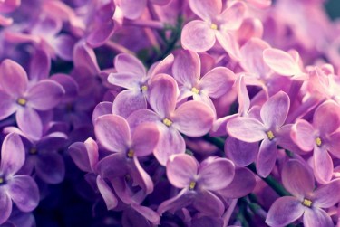 常州钟楼区9企业急用钱贷款攻略：快速融资解燃眉之急